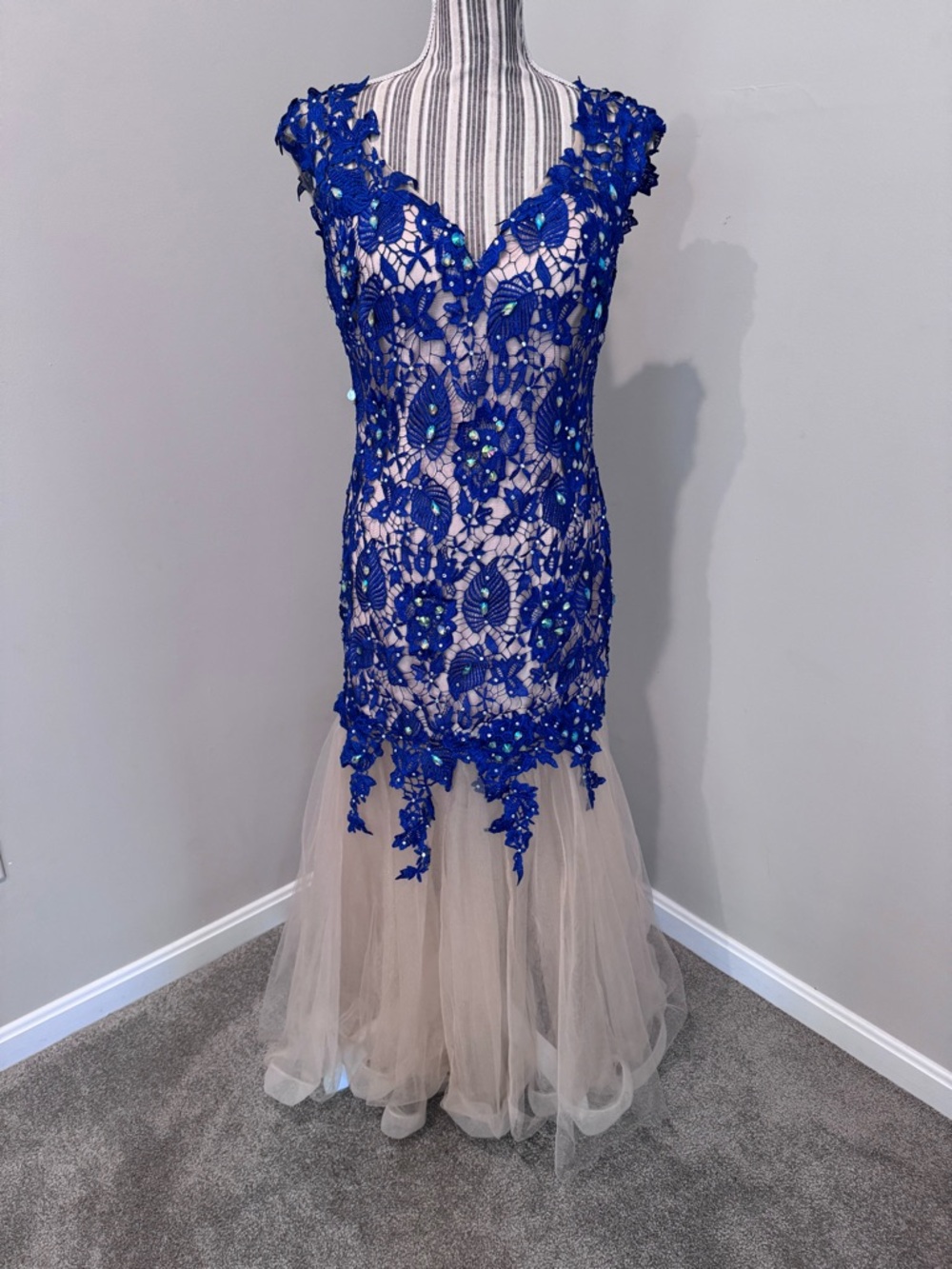 Claudine Prom Dress Gown Embroidered Beaded Tulle Sz 10 Royal Blue